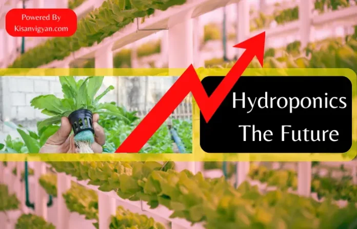 Hydroponics in hindi