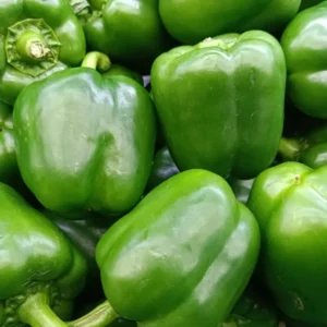 Capsicum (हरी शिमला मिर्च)