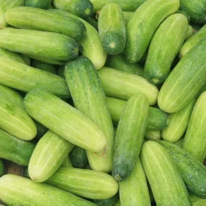 Cucumber (खीरा)