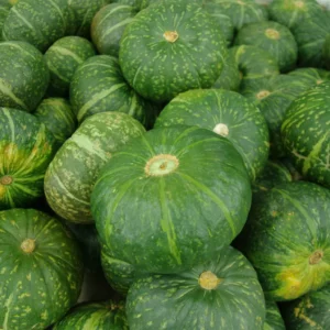 Pumpkin (कोहड़ा)