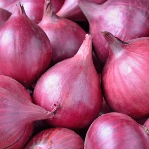 Onion (प्याज)