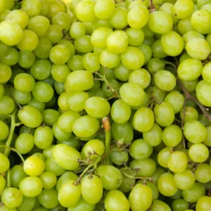 Grapes (हरे अंगूर)