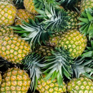 Pineapple (अनानास)