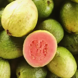 Guava (अमरूद)