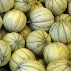 Kharbooja (खरबूजा)