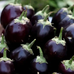 गोल बैगन