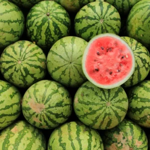 Watermelon (तरबूज)