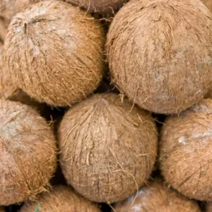 Coconut (नारियल)