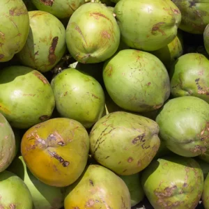 Nariyal Pani (नारियल पानी)