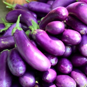 Brinjal (बैंगन)