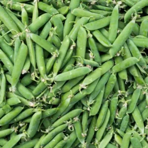 Green Peas (हरी मटर)