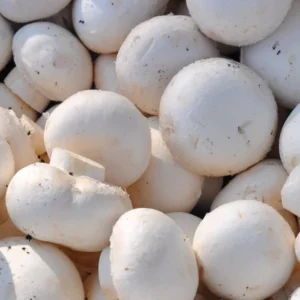 Mushroom (मशरूम)