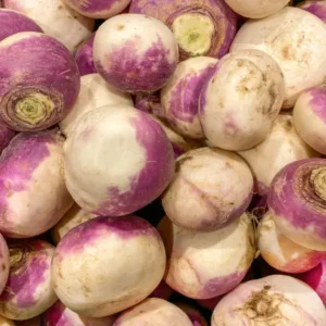 Turnip (शलजम)