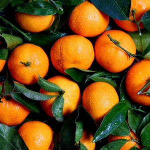 Orange (संतरा)