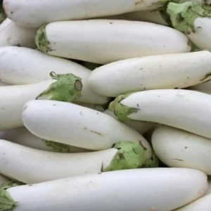 सफ़ेद बैंगन