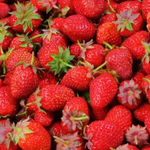 Strawberry (स्ट्रॉबेरी)