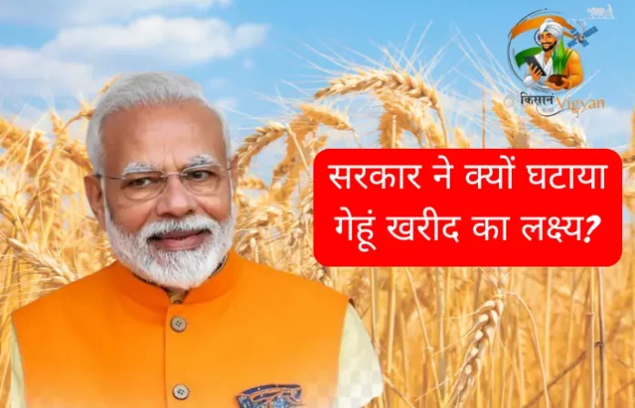 सरकार ने क्यों घटाया गेहूं खरीद का लक्ष्य