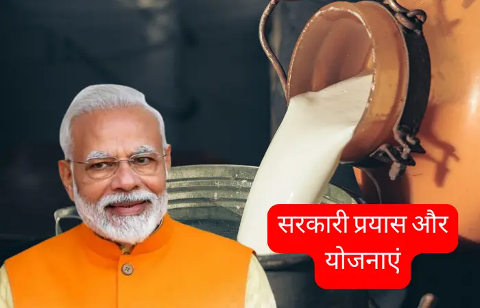 डेयरी उद्योग में सरकारी प्रयास और योजनाएं